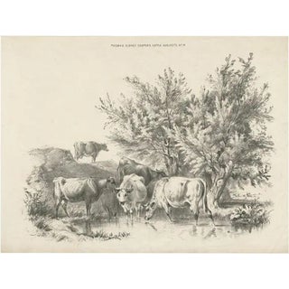 Thomas Sidney Cooper, Cattle, 1839, Print For Sale