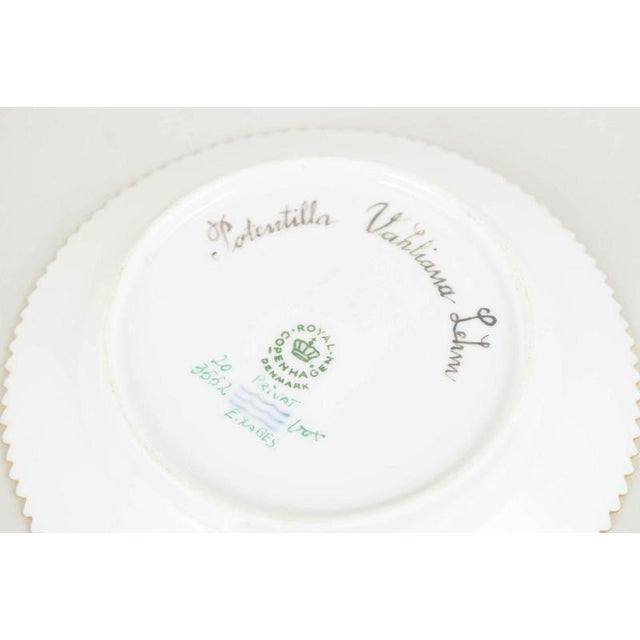 Flora Danica Side Plate in Porcelain from Royal Copenhagen, 1964 For Sale - Image 4 of 5