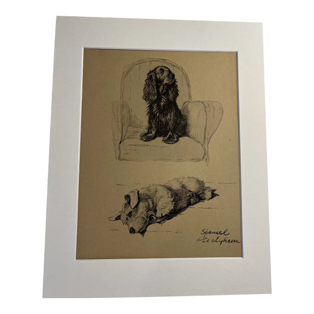 1935 Spaniel and Sealyham Dog Portrait Print by Aldin Print For Sale