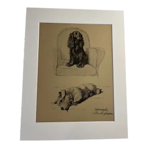 1935 Spaniel and Sealyham Dog Portrait Print by Aldin Print