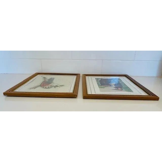 Paint Mid 20th Century Original Bird Watercolors, Vintage, A Pair For Sale - Image 7 of 11
