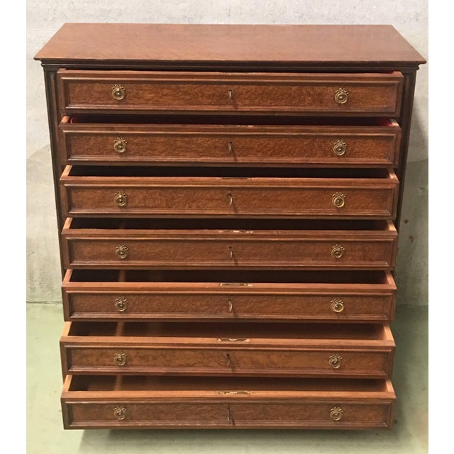 Early 20th Century 20th Century Directoire-Style Chest of Seven Drawers With Bronze Pulls, France For Sale - Image 5 of 11