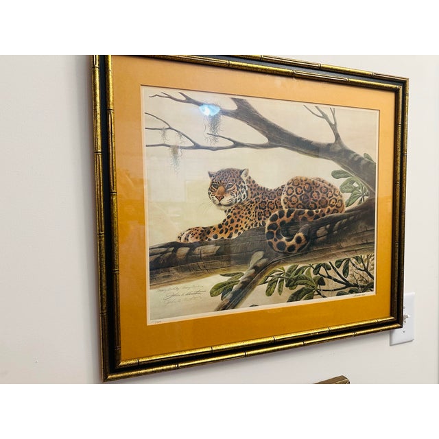 Amber Vintage Leopard Signed Lithograph, Framed For Sale - Image 8 of 8