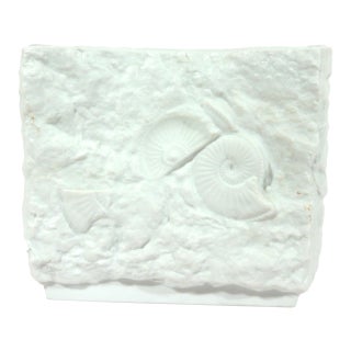 Kaiser Porcelain Fossil Relief Vase, White Bisque With Ammonites and Shells, Sculptural Pinched Form West Germany, Circa 1970s For Sale