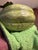 Beautiful Katherine Houston Porcelain Melon Sculpture For Sale - Image 16 of 16