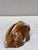 1900 - 1909 French Majolica Rabbit Money Bank Circa 1900 For Sale - Image 5 of 7