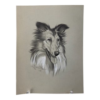 Original Signed Graphite Portrait of Collie Dog, 1949, 11 × 8.25 In. For Sale