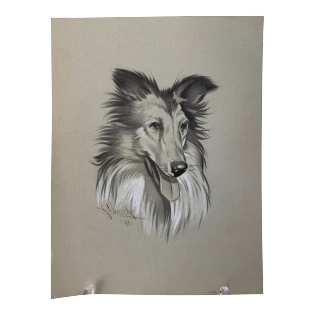 Original Signed Graphite Portrait of Collie Dog, 1949, 11 × 8.25 In. For Sale