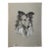 Original Signed Graphite Portrait of Collie Dog, 1949, 11 × 8.25 In. For Sale