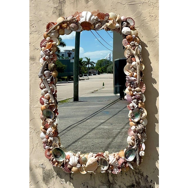 Early 21st Century Vintage Shell Encrusted Wall Mirror For Sale - Image 5 of 14