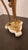 Mid 18th Century Louis XVI Gilt Bronze Lamp, Unwired For Sale In Dallas - Image 6 of 7