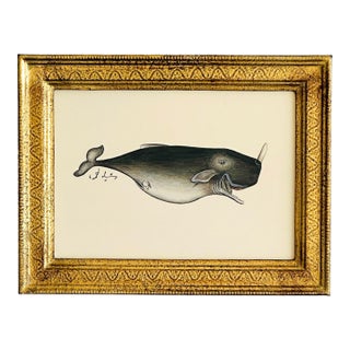 Original Hand-Painted Baby Whale Painting in a Vintage Gilt Frame For Sale