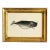 Original Hand-Painted Baby Whale Painting in a Vintage Gilt Frame For Sale