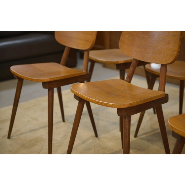 1960s Vintage Chairs in Oak, 1960s, Set of 6 For Sale - Image 5 of 13