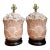 Vintage Frederick Cooper Shell Lamps - Pair For Sale