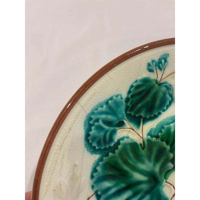 Antique Majolica White Plate With Green Dogwood Leaves and Brown Rim For Sale - Image 4 of 6