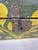 Antique French 19th Century Hand Painted Polychrome Trunk For Sale In New Orleans - Image 6 of 12