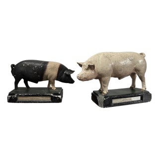 Vintage Painted Plaster Pig Models, Ministry of Agriculture, 1920s-1940s, Set of 2 For Sale