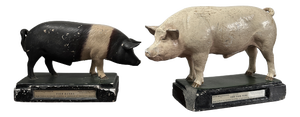 Vintage Painted Plaster Pig Models, Ministry of Agriculture, 1920s-1940s, Set of 2