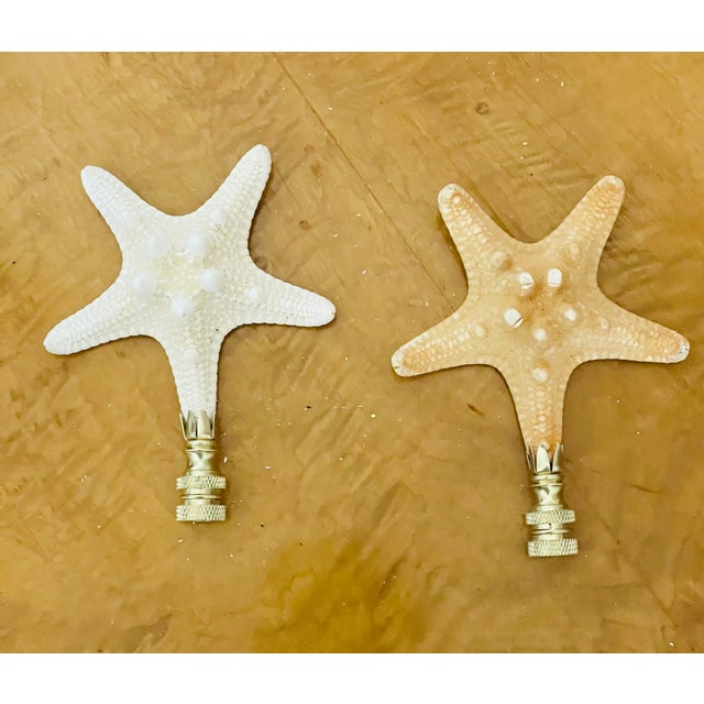 1970s Organic Modern Sea Shell Stars Pair Lamp Finials For Sale - Image 4 of 5