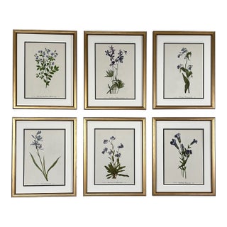 Original Vintage Botanical Prints Framed Set of 6 - Authentic 1953 Prints For Sale