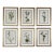 Original Vintage Botanical Prints Framed Set of 6 - Authentic 1953 Prints For Sale