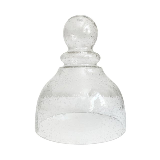 Elevate your gardening experience with the Seeded Bubble Glass Garden Cloche, designed to create a nurturing environment...