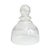 Elevate your gardening experience with the Seeded Bubble Glass Garden Cloche, designed to create a nurturing environment...