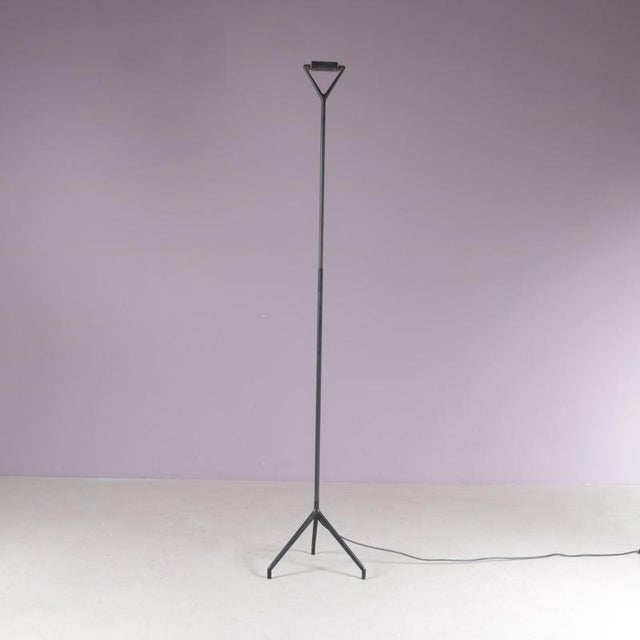 Model Lola D15 Floor Lamp by Rizatto & Meda for Luceplan Italy, 1980s For Sale - Image 4 of 13