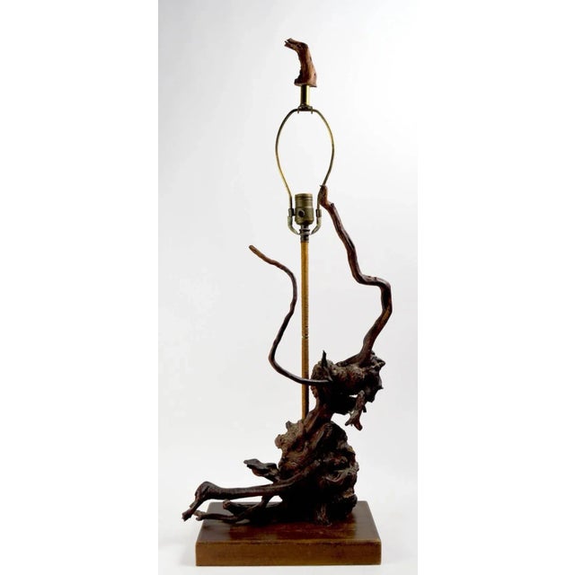 Mid-Century Modern Sculptural Driftwood Lamps - a Pair For Sale - Image 3 of 11