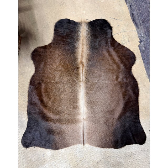 Beautiful small scale natural hide with perfect symmetry and gradient coloring that is a rare find. Measures 41" x 48". We...