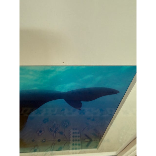 Brian Skerry North Atlantic Whale Photography For Sale - Image 9 of 12