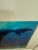 Brian Skerry North Atlantic Whale Photography For Sale - Image 9 of 12