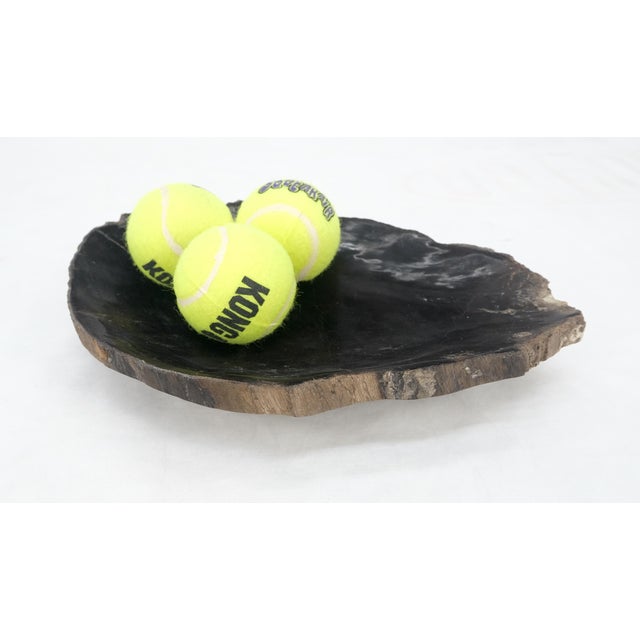 Petrified Wood Heart Shape Solid Black Elongated Bowl Dish Large Plate Ashtray
