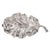 Metal Calathea Leaf Polished Silver Sculpture- Large For Sale - Image 7 of 9