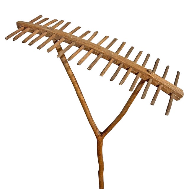 19th Century French Espalier Rake on Custom Mount | Chairish