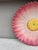 Delphin Massier 19th Century French Majolica Pink Daisy Plate Delphin Massier For Sale - Image 4 of 5