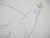 Pablo Picasso, La colombe de la Paix, Lithograph For Sale - Image 4 of 7