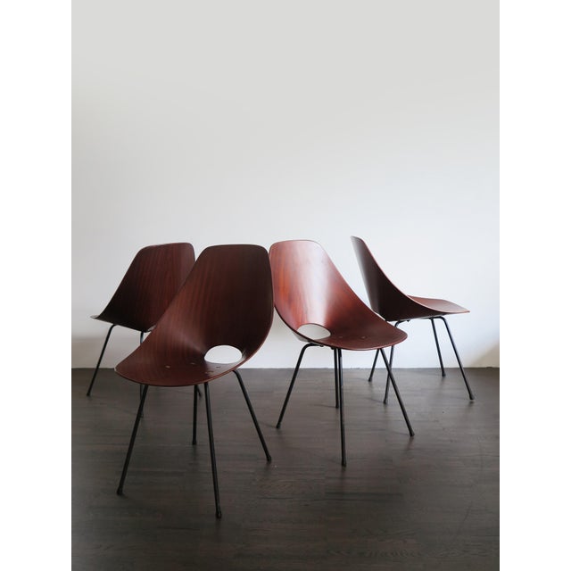Set Italian chairs Medea model designed by Vittorio Nobili for Tagliabue brothers, curved plywood and painted metal feet,...