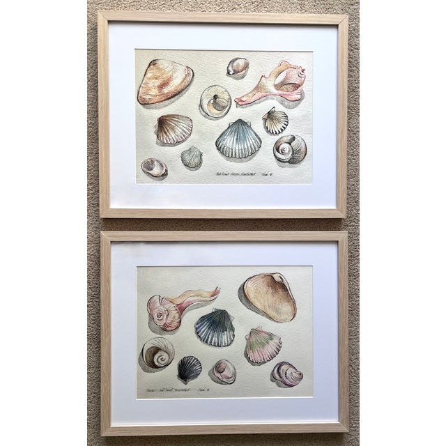 "Nantucket Shells" Watercolor Prints-Custom Framed, Signed-1991 For Sale In New York - Image 6 of 6