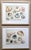 "Nantucket Shells" Watercolor Prints-Custom Framed, Signed-1991 For Sale In New York - Image 6 of 6