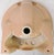 1970s Vintage Crane Vitreous China "Sun Tan" Drop-in Bathroom Sink For Sale - Image 11 of 15