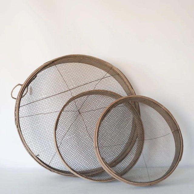 Rustic Wooden Grain Sieves, 1920s, Set of 3, in Worn conditions. Designed 1920 to 1949
