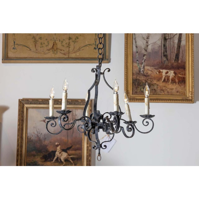 French Provincial Mid 20th Century French Wrought Iron Chandeliers For Sale - Image 3 of 8