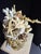 2020s Celestial Meets the Sea-Shell Encrusted Bust-Coastal Art Sculpture For Sale - Image 5 of 11