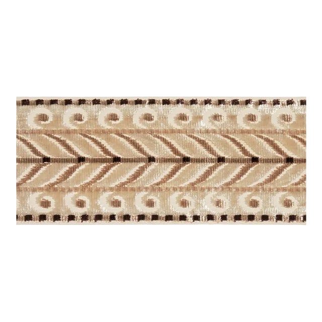 Schumacher Marion Velvet Tape in Champagne For Sale