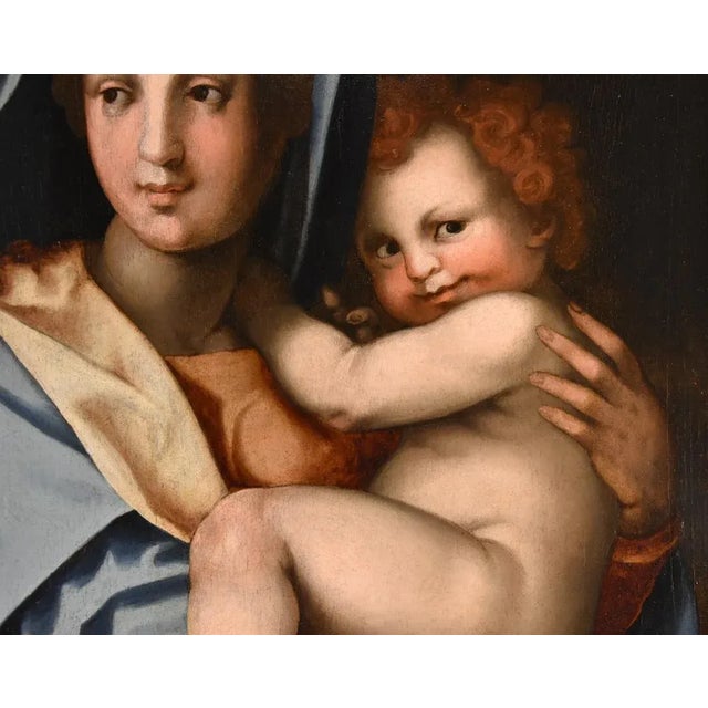 16th Century Workshop of Andrea del Sarto / Andrea d'Agnolo di Francesco, Madonna and Child, 1530, Oil on Board For Sale - Image 5 of 18