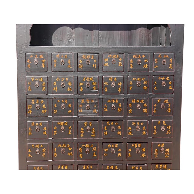 Wood 19th Century Chinese Apothecary Cabinet For Sale - Image 7 of 7