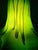 Green Marbled Opaline Glass Pendant Light from Peill & Putzler, 1970s For Sale - Image 6 of 18
