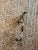 Large Architectural Bronze Cobra Hardware Left For Sale - Image 10 of 10